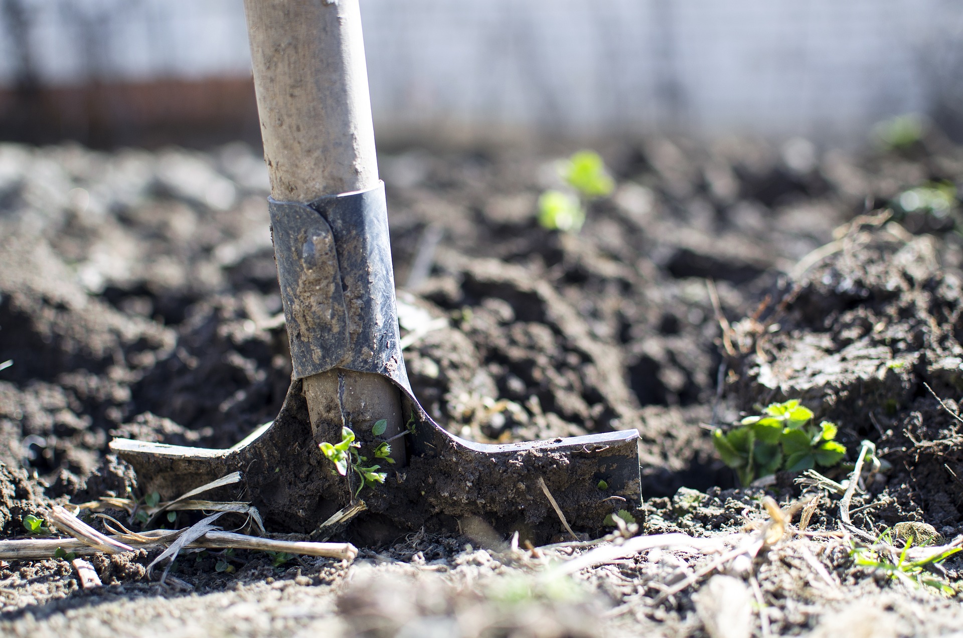 What Qualifications Does A Farm Labourer Need AllTheTrades